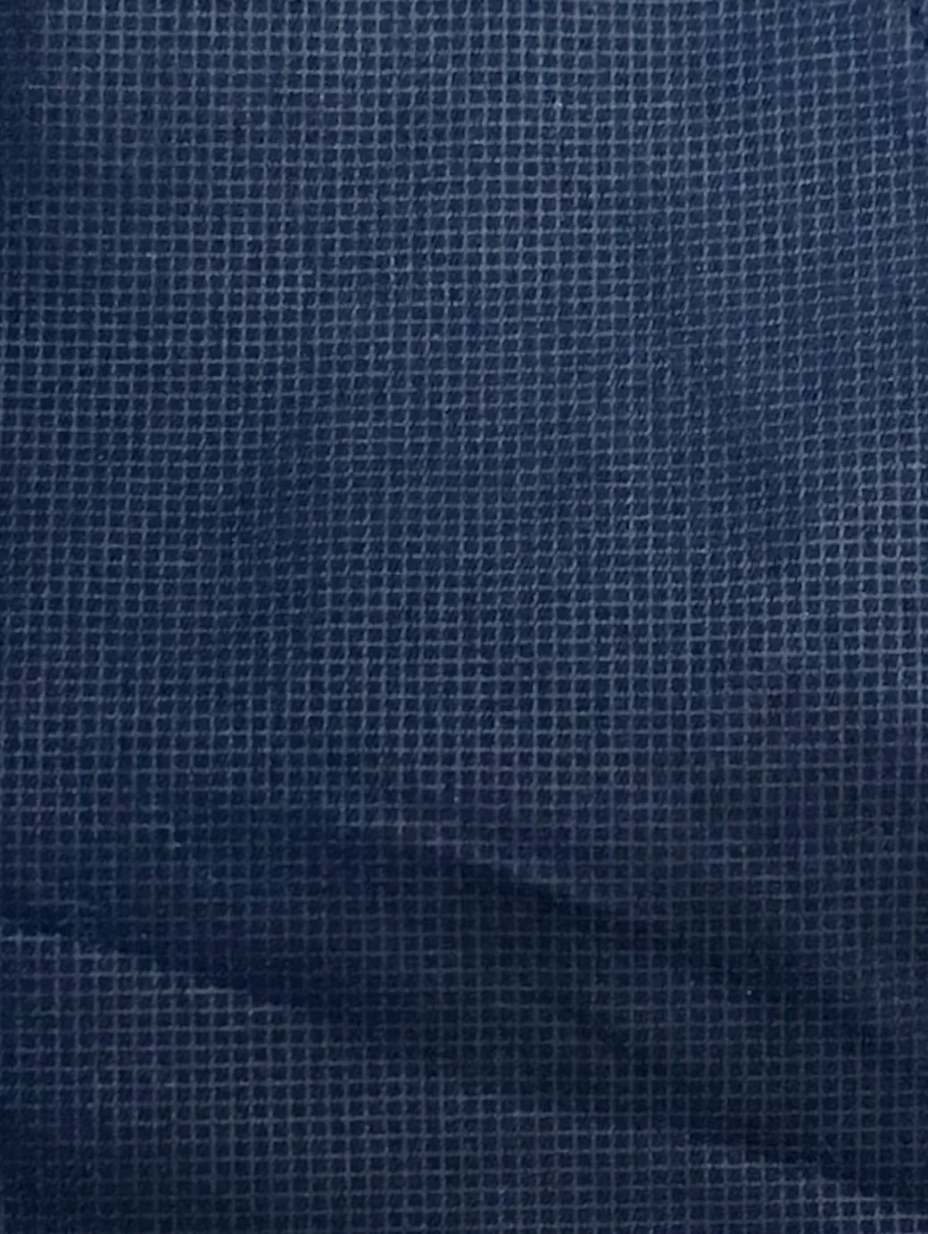 Dafna Blue Check